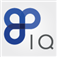 IQ Financial Markets